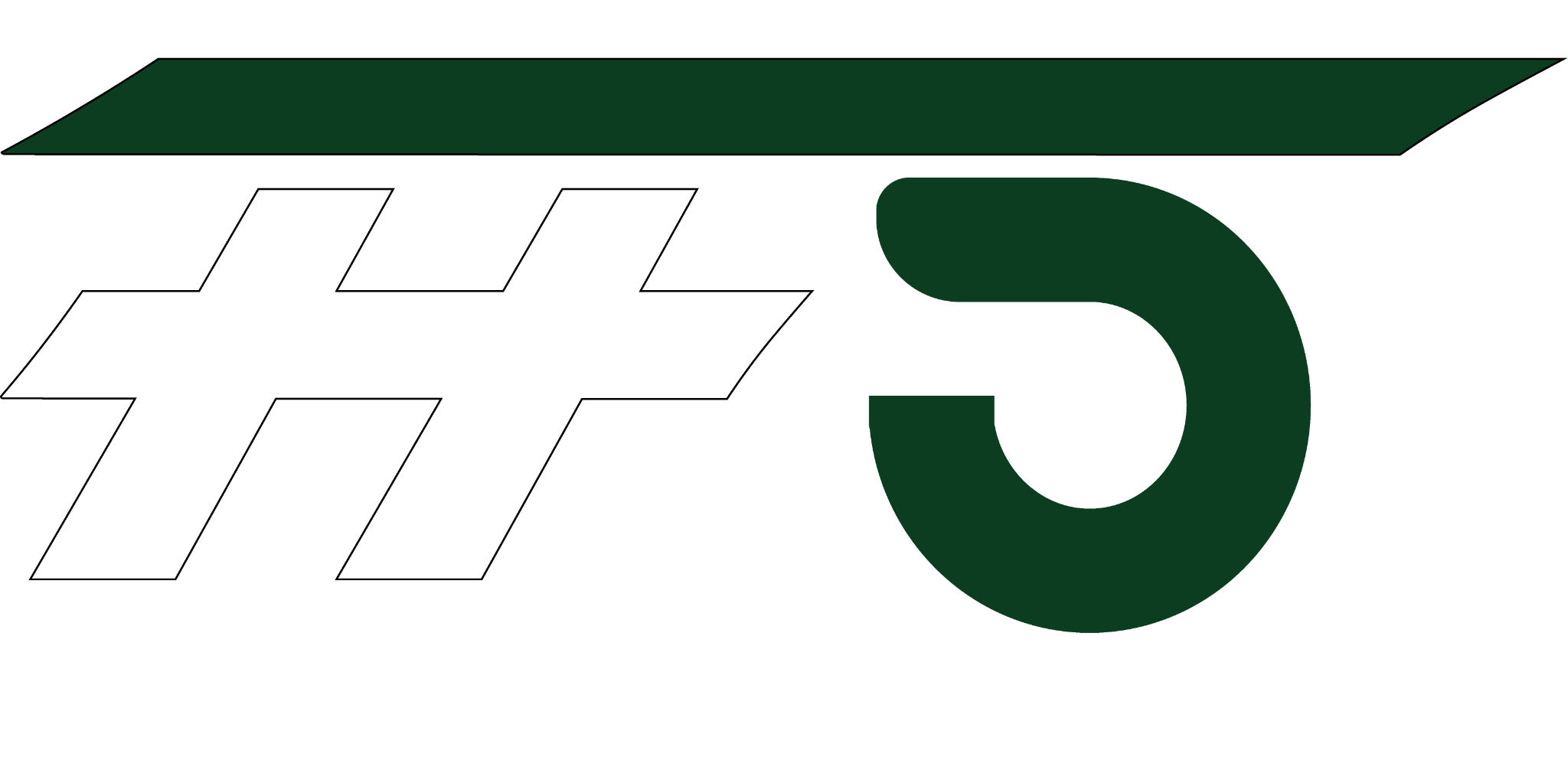 FFS IT-Solutions Logo